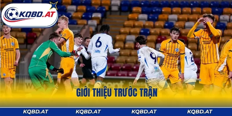 Giới thiệu trước trận Brighton & Hove Albion vs Leeds United