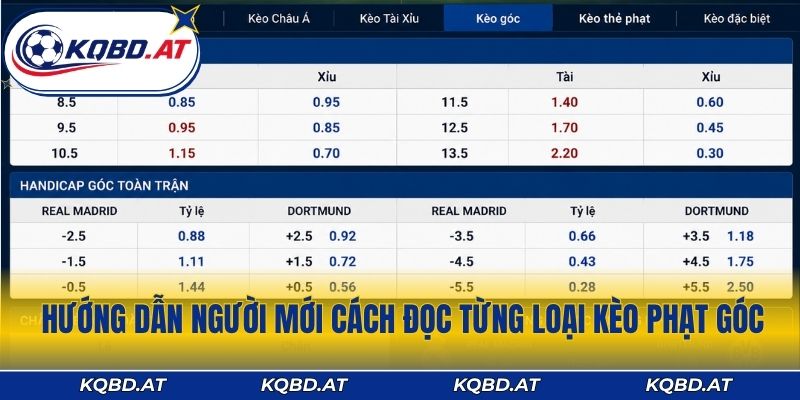 Hướng dẫn người mới cách đọc từng loại kèo phạt góc