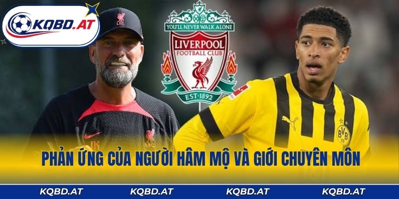 Phản ứng của người hâm mộ và giới chuyên môn