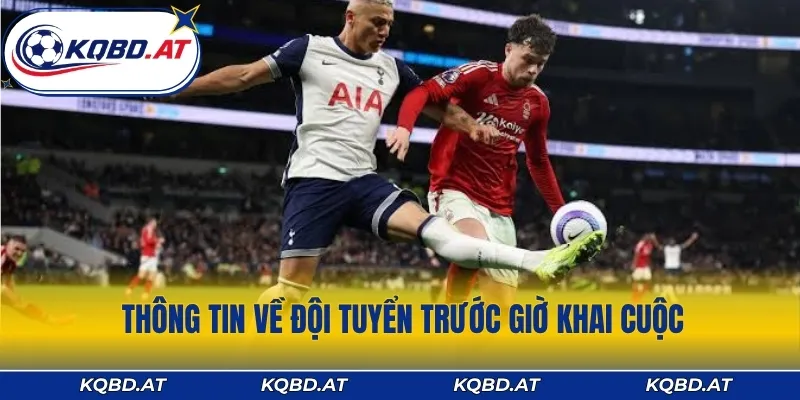 Thông tin về đội tuyển trước giờ khai cuộc