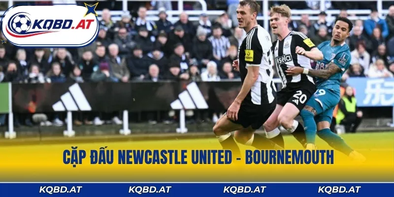 Tổng quan về cặp đấu Newcastle United – Bournemouth